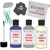 Bugatti VIOLETT INTERIEUR Car Detailing and Polish Finish Kit