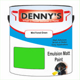 Denny's Emulsion Paint For Walls Colour- Mint Forest Green - Matte Wipe-Clean Durable Coverage