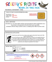Instructions for use Bmw Mellow Yellow Car Paint