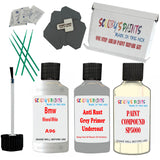 Bmw Mineral White Car Detailing Paint and polish finishing kit