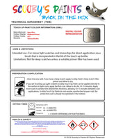 Instructions for use Bmw Platinum Bronze Car Paint