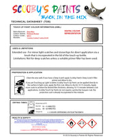 Instructions for use Bmw Platinum Bronze Car Paint