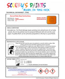 Instructions For Use Bugatti ALL MODELS ARANCIO BOEREALIS Car Paint