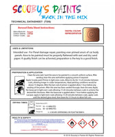 Instructions For Use Bugatti ALL MODELS COPPER Car Paint