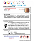 Instructions For Use Bugatti ALL MODELS COPPER MATT Car Paint