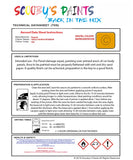 Instructions For Use Bugatti ALL MODELS GIALLO TAURUS INTERIEUR Car Paint