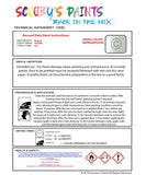 Instructions For Use Bugatti ALL MODELS GLACIER Car Paint