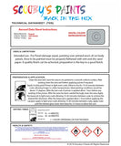 Instructions For Use Bugatti ALL MODELS GRIS NUAGE Car Paint