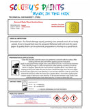 Instructions For Use Bugatti ALL MODELS JAUNE SOUFRE Car Paint