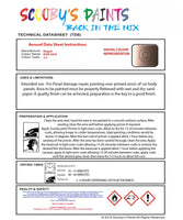 Instructions For Use Bugatti ALL MODELS ROSE´GOLD Car Paint