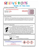 Instructions For Use Bugatti ALL MODELSALL MODELS SILK ROSE Car Paint