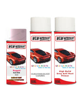 Bugatti ALL MODELS SILK ROSE Complete Aerosol Kit With Primer and Laquer