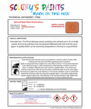 Instructions For Use Bugatti ALL MODELSALL MODELS TANGERINE INTERIEUR Car Paint