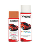Bugatti ALL MODELSALL MODELS Car Paint