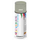 Mixed Paint For Austin Maxi Canyon Grey Aerosol Spray A2