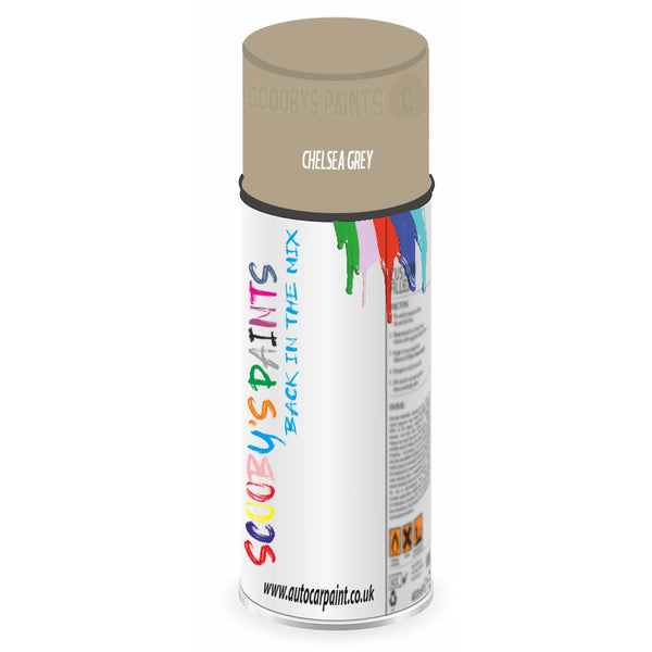 Mixed Paint For Morris Marina Chelsea Grey Aerosol Spray A2