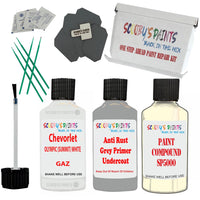 Chevrolet Olympic (Summit) White Car Detailing And Polish Finish Kit