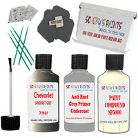 Chevrolet Sanddrift Grey Car Detailing And Polish Finish Kit