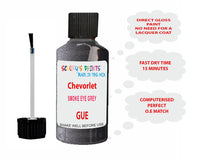 Chevrolet Smoke Eye Grey Paint Code Gue