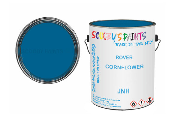 Mixed Paint For Austin Maxi, Cornflower, Code: Jnh, Blue