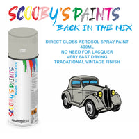 High-Quality CYGNET Aerosol Spray Paint LNL For Classic Rover 25- Paint for restoration high quality aerosol sprays