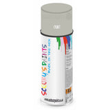 Mixed Paint For Rover Maestro Cygnet Aerosol Spray A2