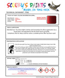 Instructions for use Citroen Wicked Red Car Paint