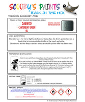 Instructions For Use Daewoo Espero Touch Up Paint