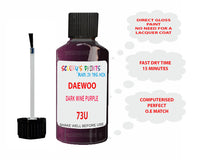 Daewoo Dark Wine Purple Paint Code 73U