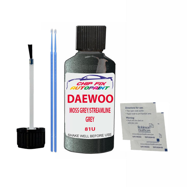 Daewoo Lanos Moss Grey/Streamline Grey Touch Up Paint Code 81U