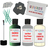 Daewoo Sherwood Green Car Detailingand Polish Finish Kit