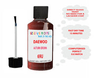 Daewoo Autumn Brown Paint Code 69U