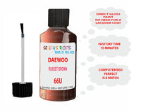 Daewoo Russet Brown Paint Code 66U