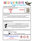 Instructions For Use Daewoo Leganza Touch Up Paint