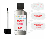 Daewoo Phantom Grey Paint Code D603