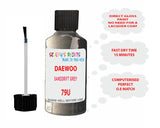 Daewoo Sanddrift Grey Paint Code 79U