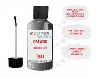 Daewoo Warm Mid Grey Paint Code D613