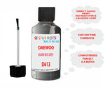 Daewoo Warm Mid Grey Paint Code D613