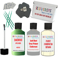 Daewoo Mosswood Green Car Detailingand Polish Finish Kit