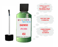 Daewoo Mosswood Green Paint Code 45U