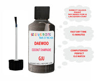 Daewoo Coconut Champagne Paint Code Gju