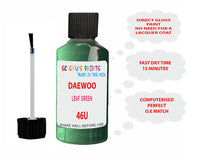 Daewoo Leaf Green Paint Code 46U