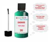 Daewoo Tropic Green Paint Code 39U