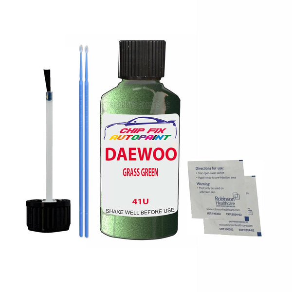 Daewoo Rezzo Grass Green Touch Up Paint Code 41U