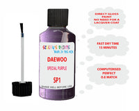 Daewoo Special Purple Paint Code Sp1