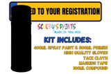 Mixed By Reg Aerosol Touch Up Kits VIN Registration Paint Mix To Code OEM Colours Car Automotive Van Bus Motorbike