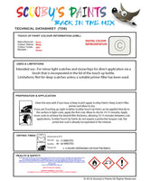 Instructions for use Dacia White Car Paint