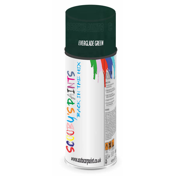 Mixed Paint For Triumph Toledo Everglade Green Aerosol Spray A2