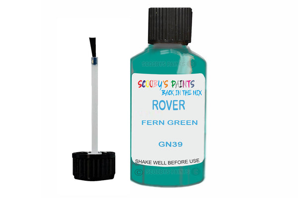 Mixed Paint For Rover A60 Cambridge, Fern Green, Touch Up, Gn39