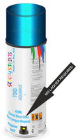 Ford aquarius Direct Gloss No Lacquer Required Spray Paint
